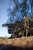 Kolica Carp Porter Roamer Carp Porter Green