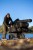 Kolica Carp Porter Trident Dark Kamo