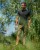 Kratke hlače Korda Kore Kombat Shorts Military Olive