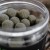 Kritično balansirani Boilies Munchbaits Bio Marine Wafters 200ml