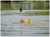 Krmilo MAP Embed Method Feeder Large 32gr