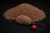 Krmítková Zmes Black Carp Method Feeder Mix 1,2kg