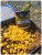 Kukuruz MVDE Ready-To-Use Sweetcorn Natural 212ml
