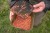 Kutija Korum Maggot Tub And Riddle - 2PT/1,2l
