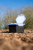 Kutija za crve Zebco Secure-Lock Bait Box