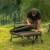 Ležajka Avid Carp Benchmark Ultra X