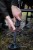 Ležaljka + Spavaća vreća Nash Indulgence HD40 8 Leg Sleep System Camo Wide