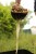 Lopatica za hranjenje Fox Particle Baiting Spoon