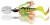Mamac Black Cat Chatter Firetiger 70gr