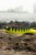 Mamac Black Cat Mad Flash Spin Tail 14cm 82g