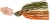 Mamac Illex Crazy Crusher 10 15,8gr Magic Pumpkin Craw