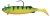 Mamac Kinetic Avatar Sea 275gr 
Ogen Tiger