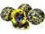 Mamac LK Baits Nutrigo Balanc Particle 200ml Honey Rape 20mm