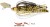 Mamac Rage Bladed Jig 7gr