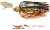 Mamac Rage Bladed Jig 7gr