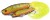Mamac Rage Pro Grub 12cm Loaded
