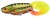 Mamac Rage Pro Grub 12cm Loaded