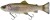 Mamac Savage Gear 3D Line Thru Pulsetail Trout 20cm 102g Clear Rainbow Trout