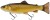 Mamac Savage Gear 3D Line Thru Pulsetail Trout 25cm 185g Bream