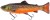 Mamac Savage Gear 3D Line Thru Pulsetail Trout