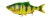 Mamac Savage Gear 4D Line Thru Roach 18cm 86gr S Firetiger