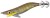 Mamac Shimano Sephia Suisui Dropper Flash Boost 2.5Gou 6.5g