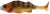 Mamac Westin Original Perch 12cm 19gr