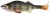 Mamac Westin Original Perch 15cm 34gr Real Perch