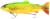 Mamac Westin Tommy The Trout 25cm 205g Firetiger Trout Slow Sinking