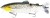 Mamac Westin Tommy The Trout 25cm 205g Headlight Deluxe Trout Slow Sinking