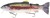 Mamac Westin Tommy The Trout 25cm 205g