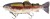 Mamac Westin Tommy The Trout Inline