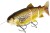 Mamac Westin Tommy The Trout Inline