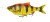Mamce Savage Gear 4D Line Thru Roach 18cm 80gr SS Zlatna Ambulanta