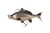 Mamci Fox Rage Replicant Carp 14cm Super Natural Common