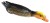 Mamci Jaxon Happy Duck 13cm 25gr Varijanta A