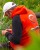 Mikina Guru Hoodie Red/Black