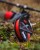 Monofilni Najlon Spomb X Pro Mono 300m 0,26mm/11lb RED