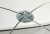 Mreža za kedere Giants Fishing Bait Net Classic