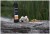Mrežica s tubusom UnderCarp PVA Mesh System 35mm 7m
