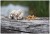Mrežica s tubusom UnderCarp PVA Mesh System 35mm 7m