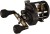 Multiplikator Penn Fathom II Level Wind 30
