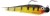Mušica Jig Swenson Flash Jig Wolfram 1,62gr