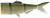 Nadomjesni Rep DAIWA Prorex Hybrid Tail Ayu