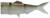 Nadomjestak Rep DAIWA Prorex Hybrid Tail Ghost Ayu