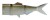 Nadomjestni Rep Daiwa Prorex Hybrid Tail