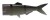 Nadomjestni Rep Daiwa Prorex Hybrid Tail