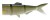 Nadomjestni Rep Daiwa Prorex Hybrid Tail