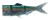 Nadomjestni Rep Daiwa Prorex Hybrid Tail