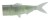 Nadomjestni Rep Daiwa Prorex Hybrid Tail